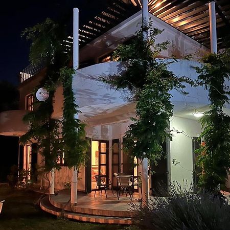 Green Villa In Olives Bar Bagian luar foto