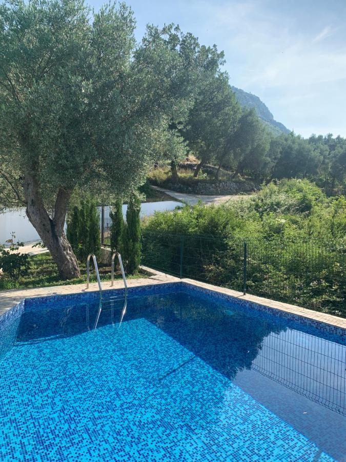 Green Villa In Olives Bar Bagian luar foto