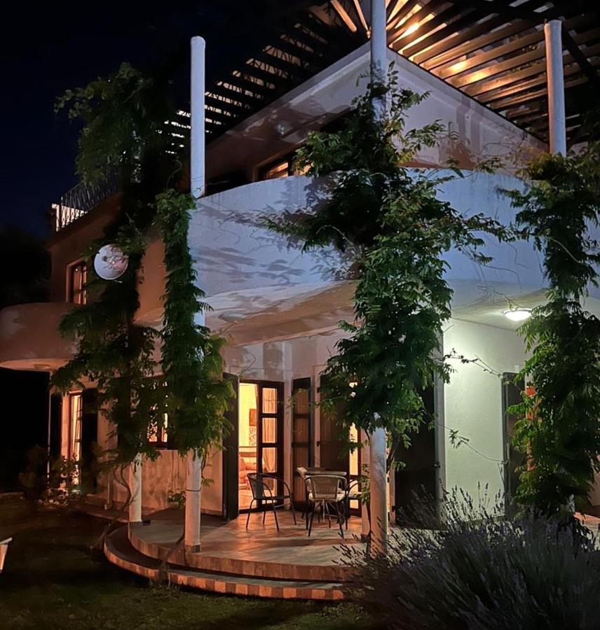 Green Villa In Olives Bar Bagian luar foto