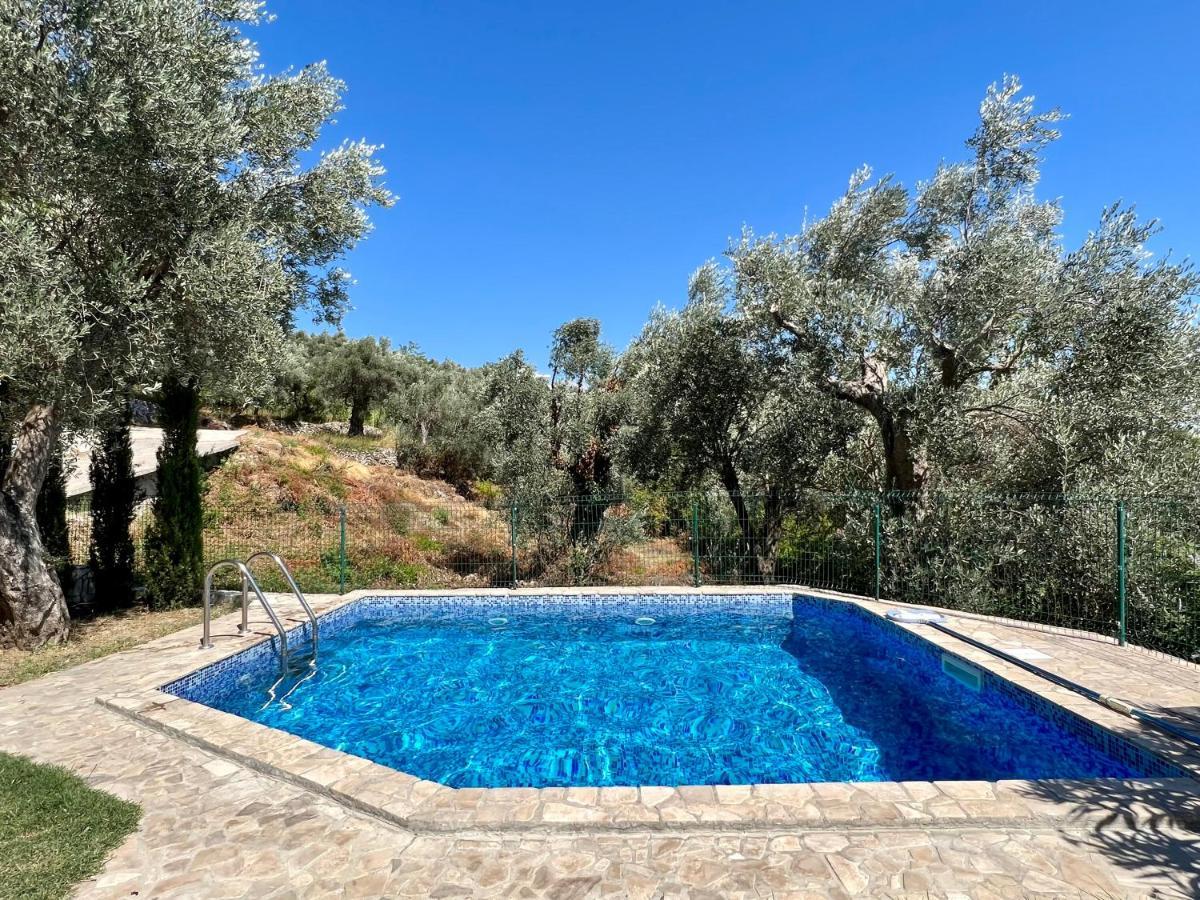 Green Villa In Olives Bar Bagian luar foto