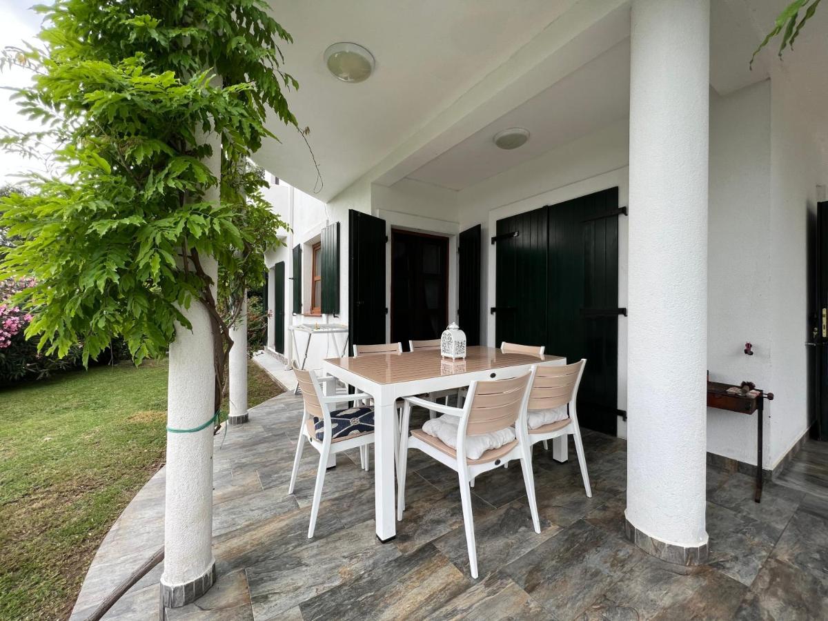 Green Villa In Olives Bar Bagian luar foto