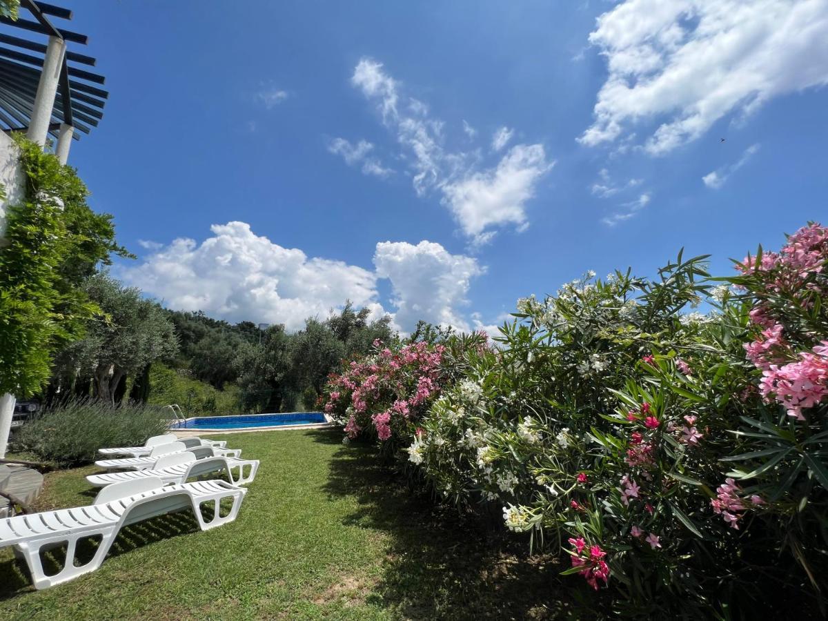 Green Villa In Olives Bar Bagian luar foto