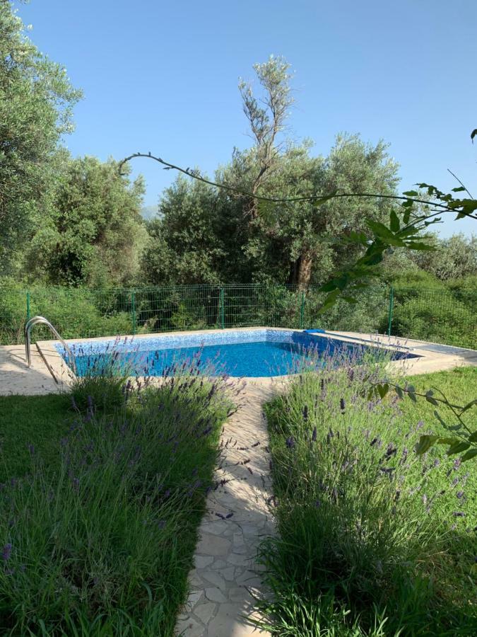 Green Villa In Olives Bar Bagian luar foto